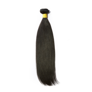 Burmese - Straight