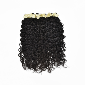 Virgin Indian Hair - Curly
